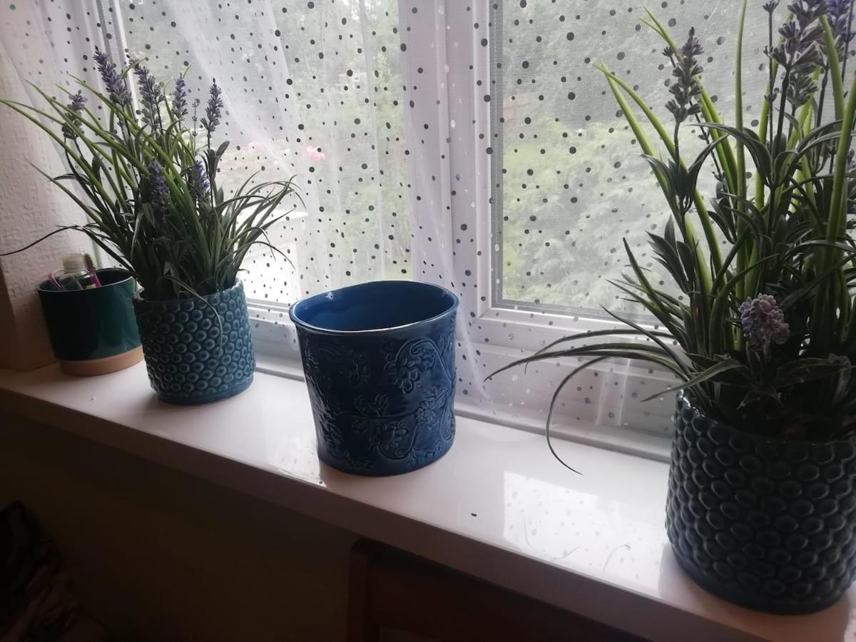 Single Bedroom In A Cozy Maisonette - Bushey Zewnętrze zdjęcie